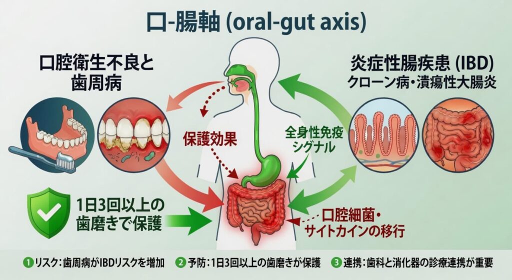 口腔衛生とIBDリスクの複雑な関係